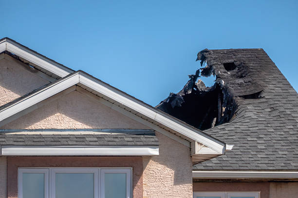 Top rated local Firefighting Water Removal specialists in Titusville, NJ